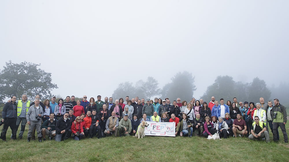 IV QDD Internacional de AFEP en Piloña (Asturias) 8 Imagen galeria