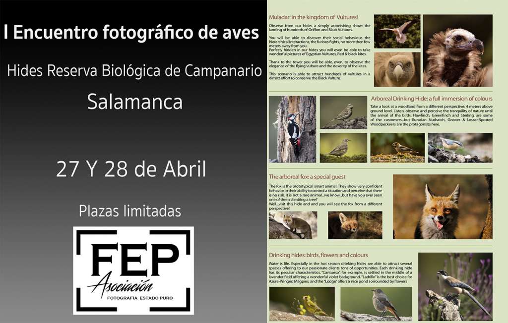 I Encuentro fotográfico de Aves 2 I Encuentro fotográfico de Aves 2