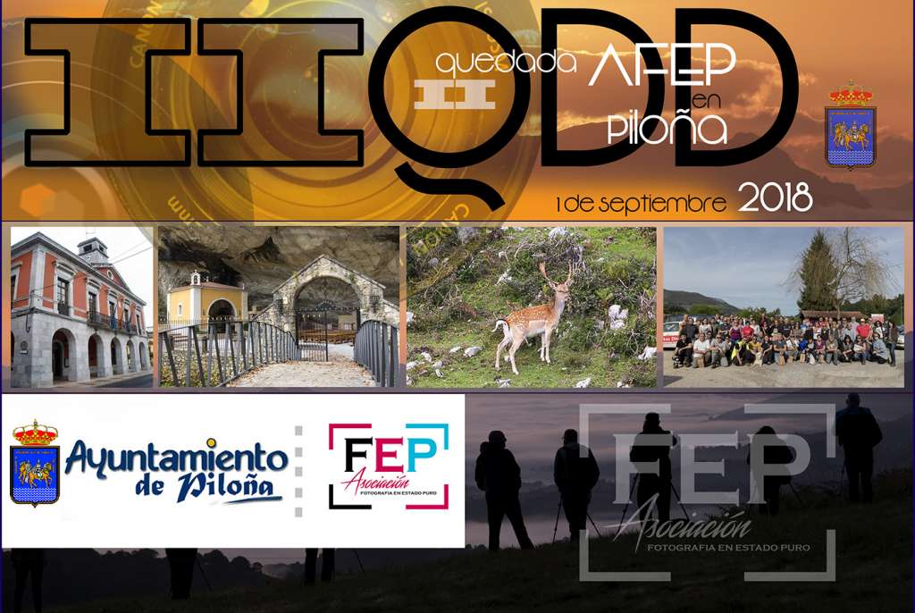II Qedada de AFEP en Piloña 2 II Qedada de AFEP en Piloña 2