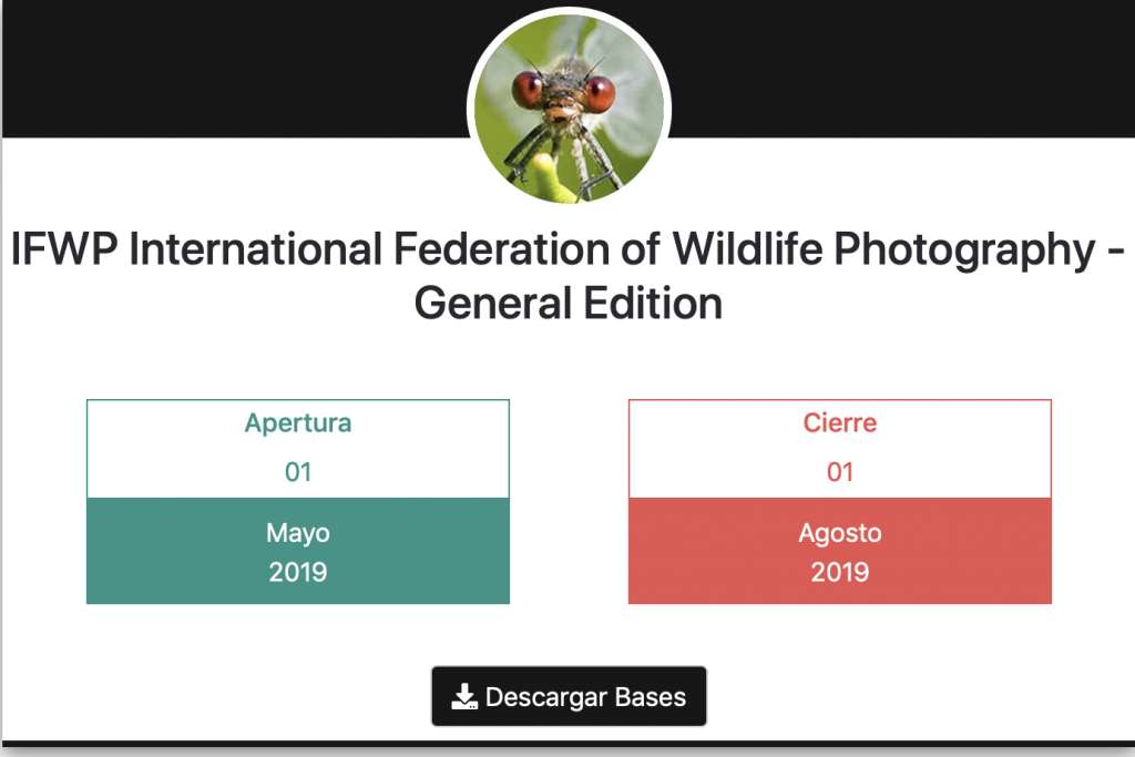 Concurso de fotografía IFWP 2019 18