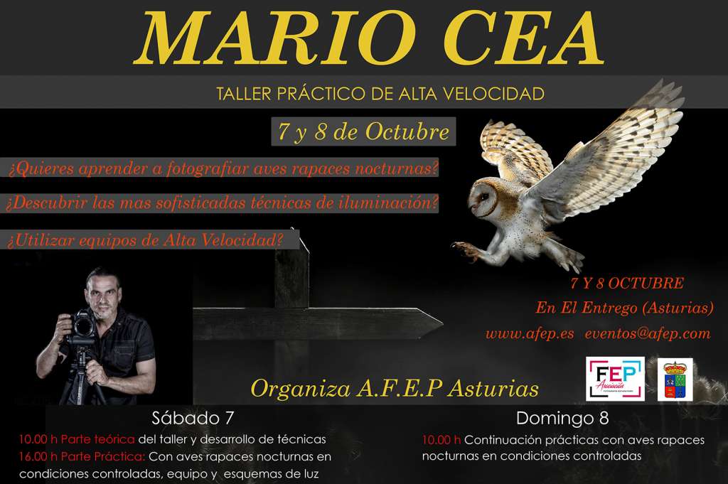 Taller PRÁCTICO de alta velocidad con iluminación artificial con Aves rapaces nocturnas en condiciones controladas 2 84