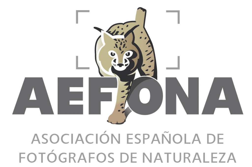 Congreso AEFONA 2019 Corvera Asturias 2 bueno
