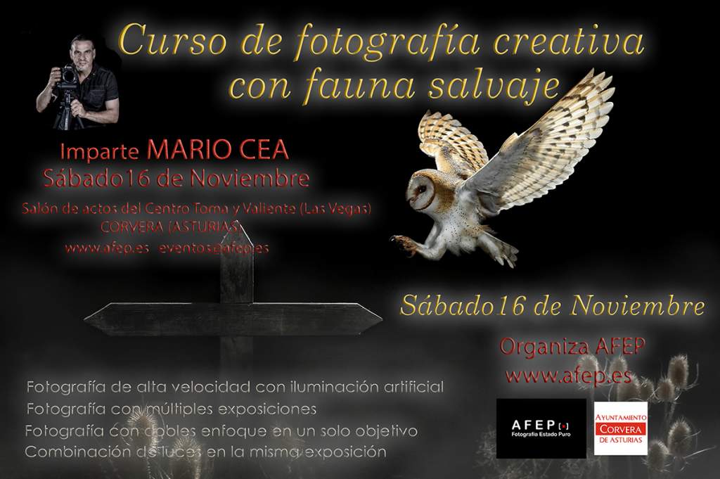 Curso Mario cea