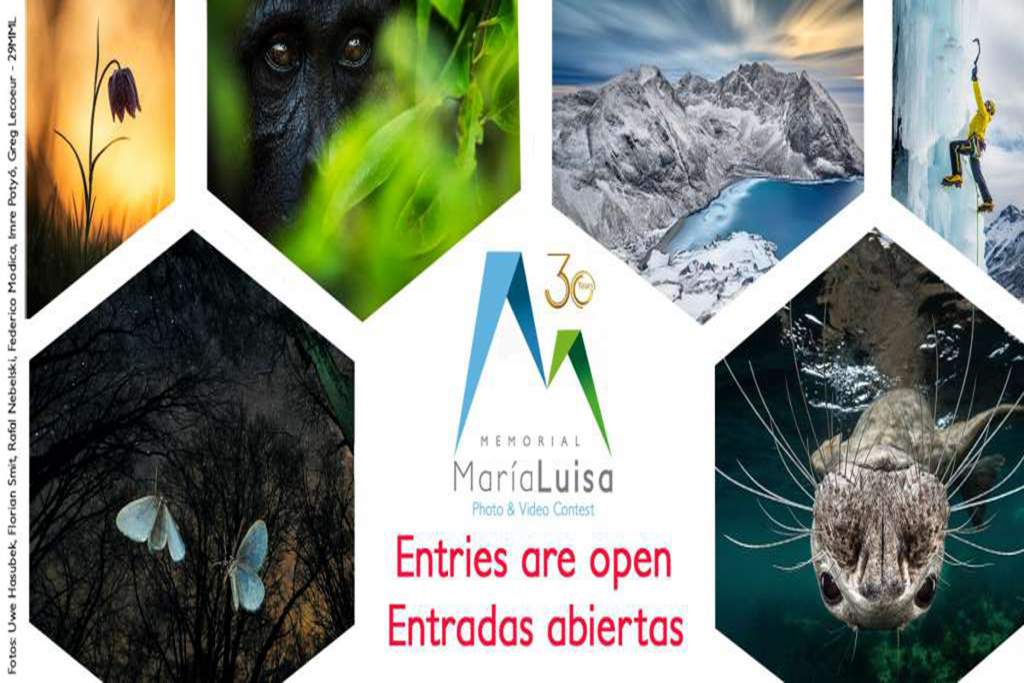 maraluisa