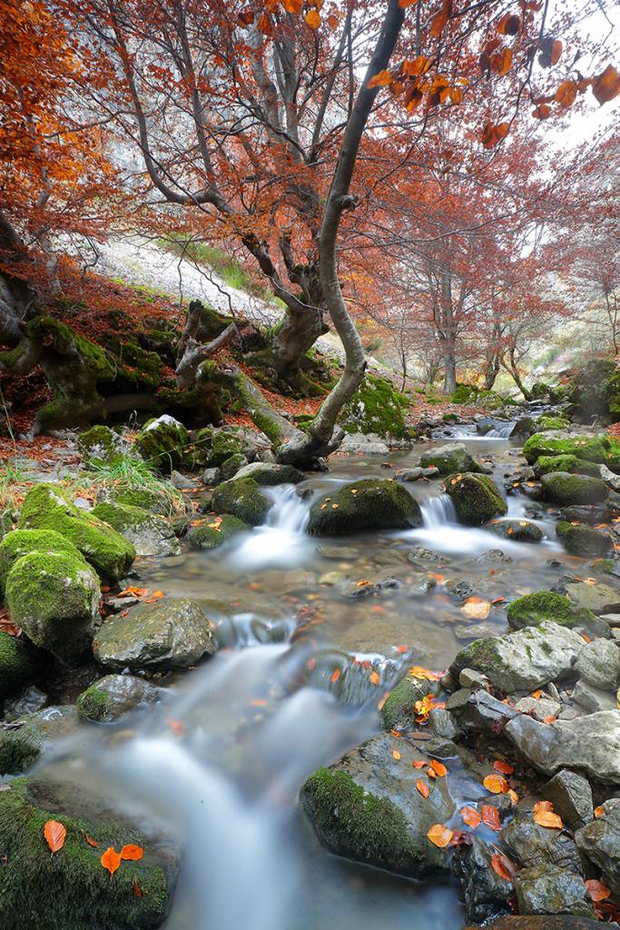 24 Y 25 Sept. Curso de fotografía de paisaje. Senén Cadenas 8 24 Y 25 Sept. Curso de fotografía de paisaje. Senén Cadenas 7