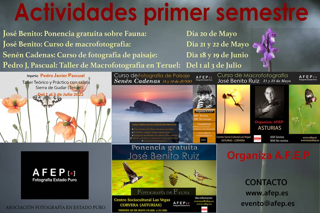 Novedosas actividades en el primer semestre 16