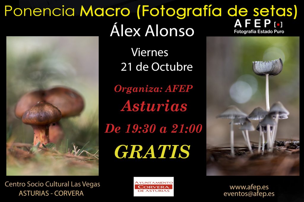 21 de Octubre Alex Alonso. PONENCIA GRATUITA 1