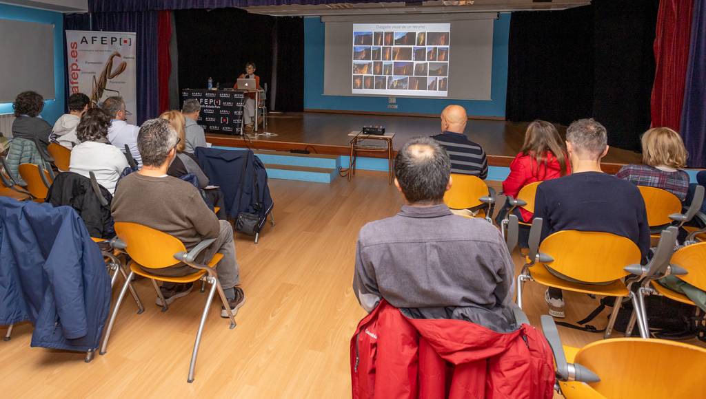 Isabel Diez arrasa en su segundo curso con AFEP 25