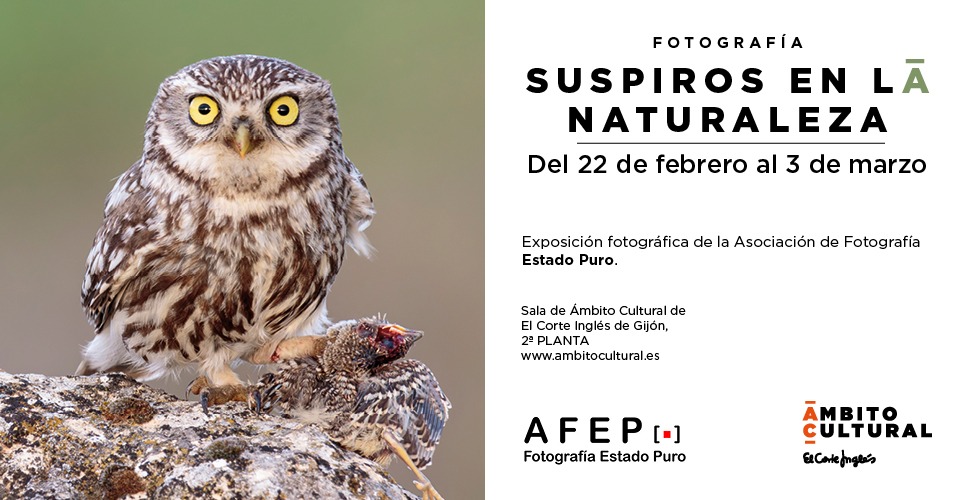AFEP expone en el Corte Ingles de Gijón con su exposición "Suspiros en la naturaleza" 4