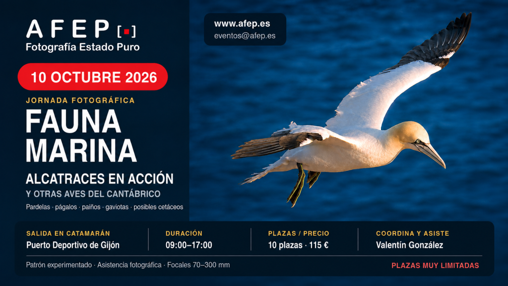 Jornada fotografica de fauna marina 2 Jornada fotografica de fauna marina 2
